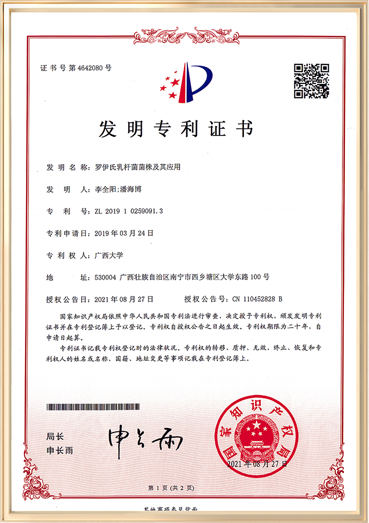 罗伊氏乳杆菌菌株及其应用