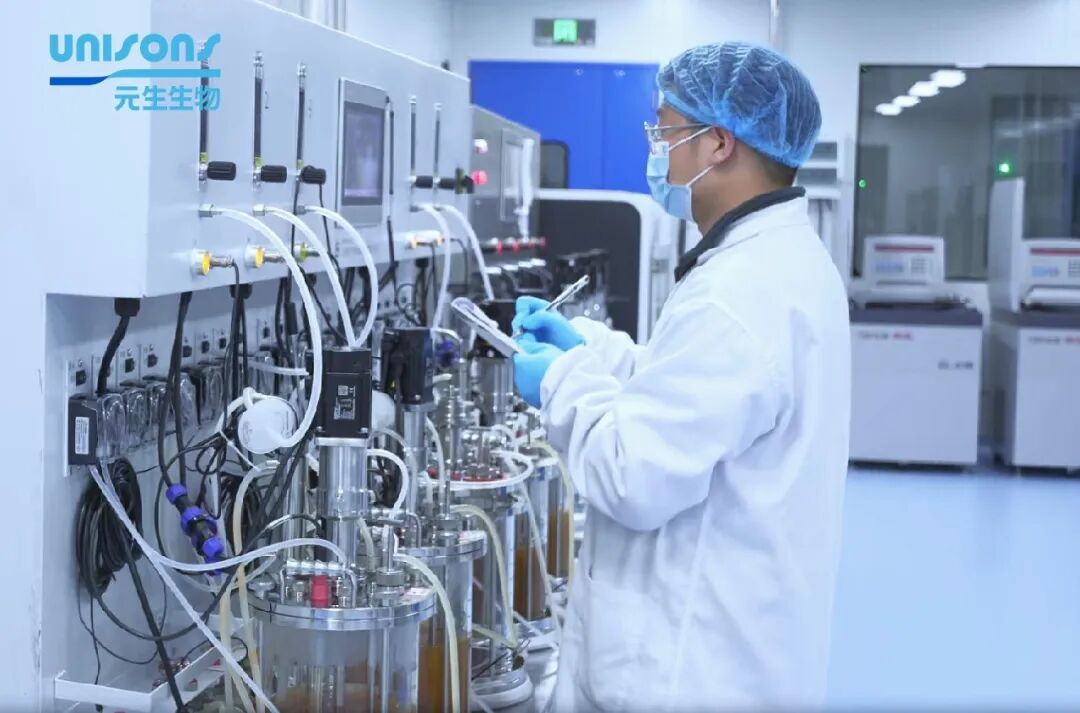 荣耀加冕!BeeAngel蜜蜂天使益生菌斩获一级菌认证 引领国产益生菌行业变革(图2)